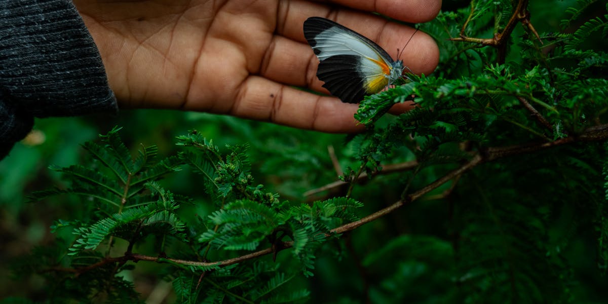 Prominent Figures Championing Environmental Conservation in Nigeria