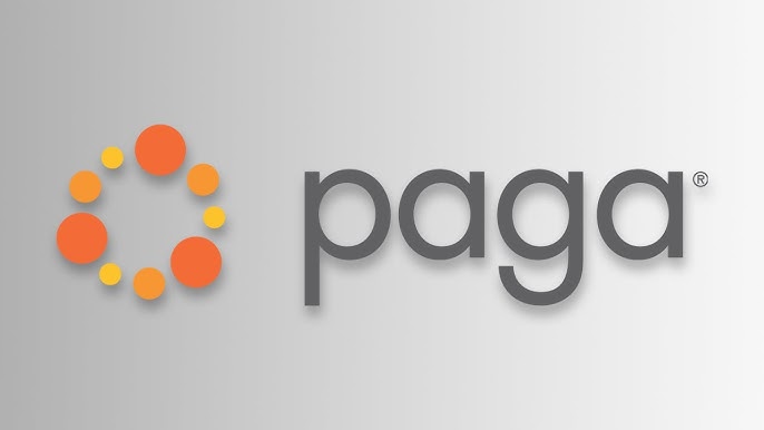 Innovations in Financial Technology: The Story of Paga